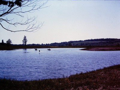 Cook Park Pond 1963
